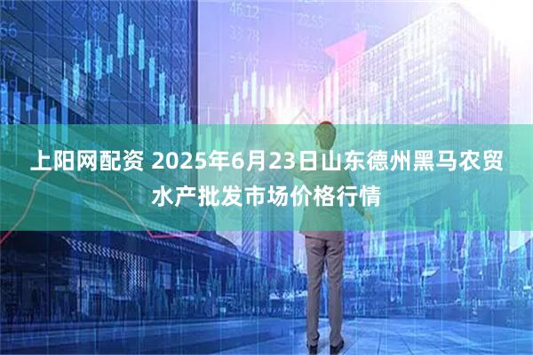上阳网配资 2025年6月23日山东德州黑马农贸水产批发市场价格行情