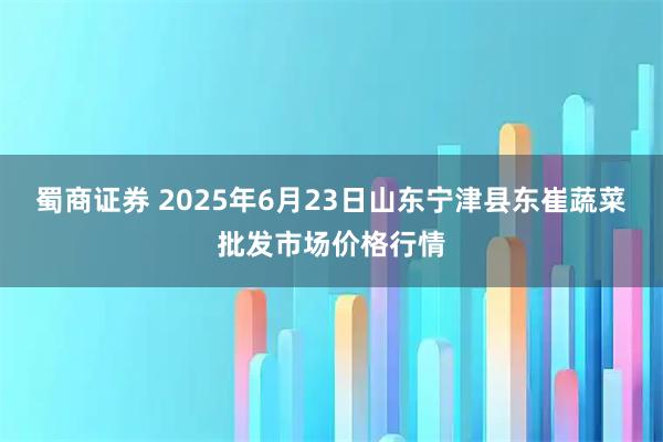 蜀商证券 2025年6月23日山东宁津县东崔蔬菜批发市场价格行情